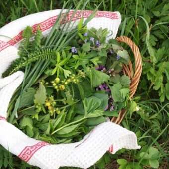 herbs_basket