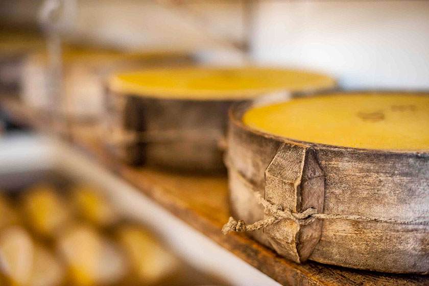 feelgood-formaggio-malga-asiago-altopiano-sette-comuni