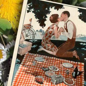 picnic_illustrated